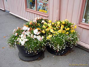 сандинавские клумбы для цветов